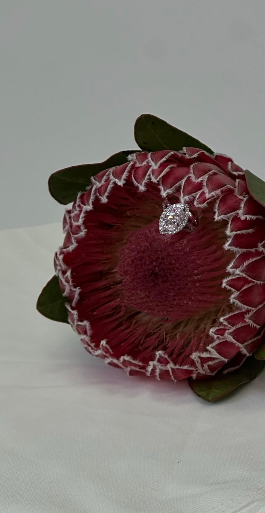 Marquise halo split band ring